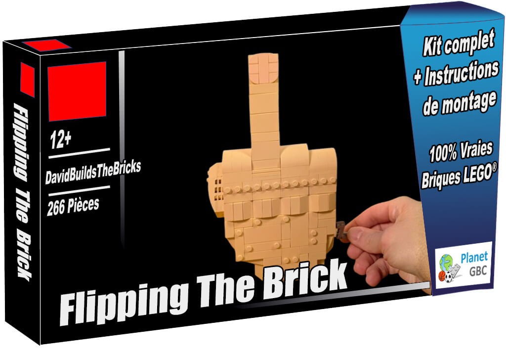 Acheter cet automate LEGO en boite avec 100% de vraies briques LEGO | Flipping the Brick de DavidBuildsTheBricks | Planet GBC | Build a MOC Acheter cet automate LEGO en boite avec 100% de vraies briques LEGO | Flipping the Brick de DavidBuildsTheBricks | Planet GBC | Build a MOC